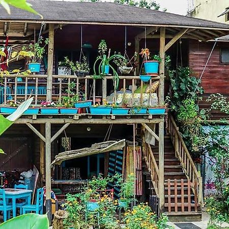 Wood House Hostel Ла Фортуна Экстерьер фото